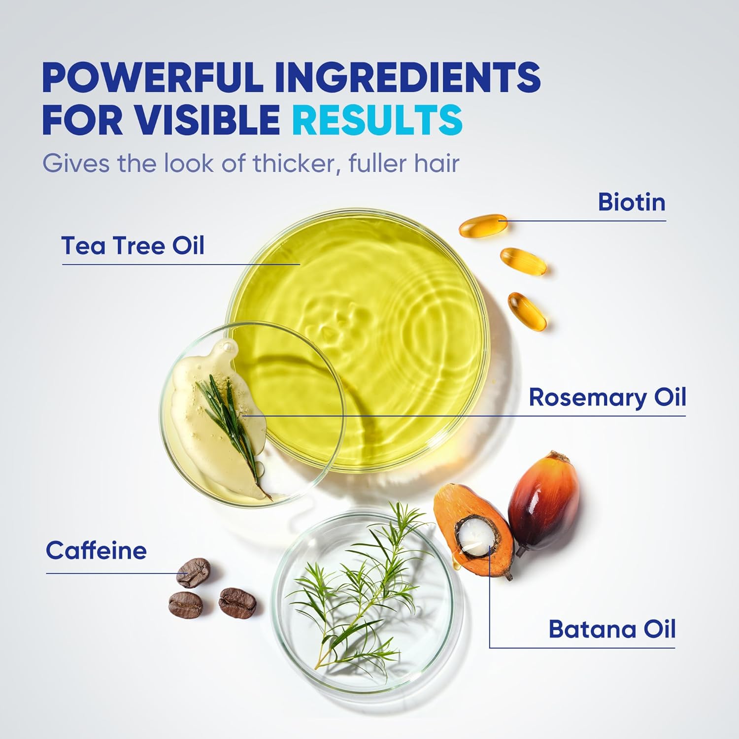 Biotin Hair Conditioner for Men